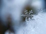 Beugen Sie Frostschäden frühzeitig vor, sonst kann es teuer werden. Bild: Free P